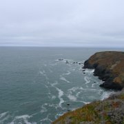 MarinHeadlands 003 : MarinHeadlands